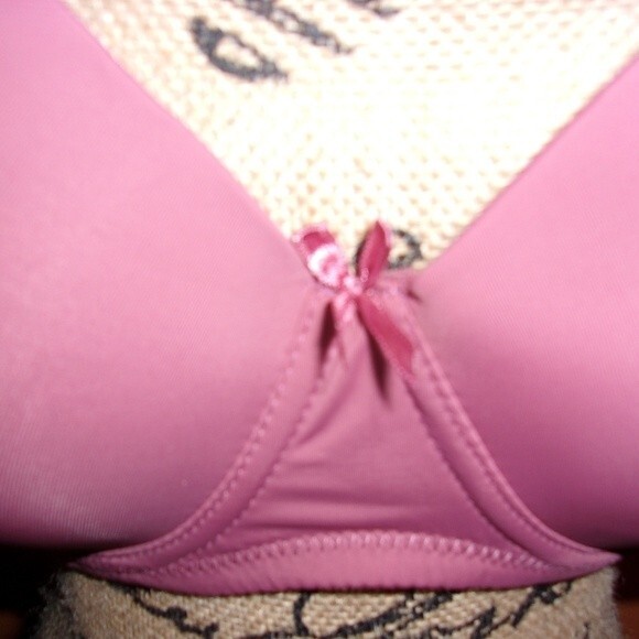 Jennifer Intimates Full Coverage Underwire 40D Fuschia Bra NWT - Picture 4 of 7